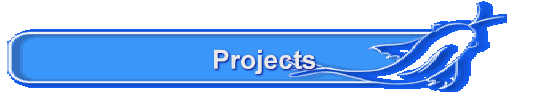 Projects